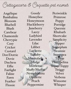 an image of the names of animals in english and french words on a white background