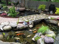 a garden with rocks and water features a stone bridge over a small pond filled with koi fish