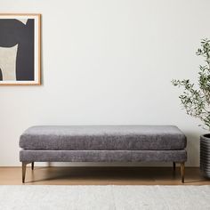 a gray bench sitting next to a plant in a living room with white walls and wooden floors