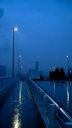 an empty walkway in the middle of a body of water at night with lights on