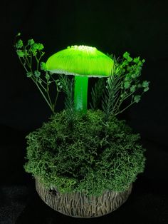 a green mushroom sitting on top of a lush green plant