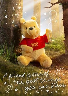 - Winnie Poo, Teddy Bear Quotes, Teddy Day, Winnie The Pooh Pictures, Pooh And Friends, Winnie The Pooh Friends, Disney Plush, Disney Scrapbook