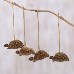 three sea turtle ornaments hanging from a tree branch in the shape of four turtles, with gold chains