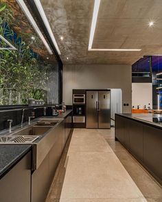 a modern kitchen with stainless steel appliances and plants on the wall above the countertop