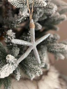 a starfish ornament hanging from a christmas tree with snow flakes on it