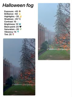 two pictures of trees in front of a building on a foggy day with the words halloween fog