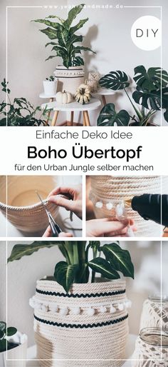 the cover of an article about how to use rope baskets for plants and other things