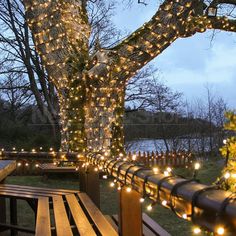 a wooden bench sitting next to a tree covered in lights