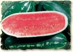 a watermelon sitting on top of green leaves