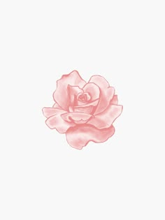 a drawing of a pink rose on a white background