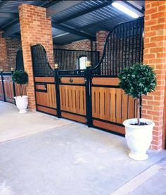 two potted plants sitting on the side of a brick building next to a black gate