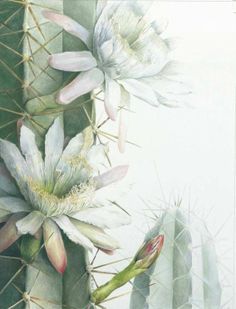 an image of a painting of cactus flowers