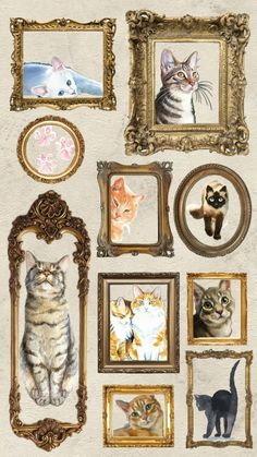 an assortment of framed pictures with cats in them