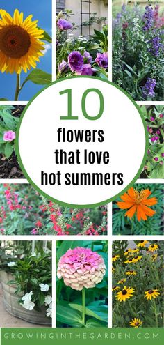 the top ten flowers that love not summers are featured in this postcard collage