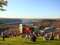 a group of people sitting on top of a lush green field next to a river