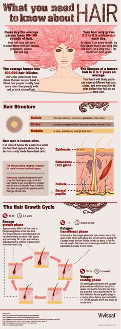 What you need to know about hair. Infographic The Human Centipede, Hair Science, Cabello Afro Natural, Hair Facts, Hair School, Types Of Hair, Hair Help, Amazing Hair, Hair Follicle