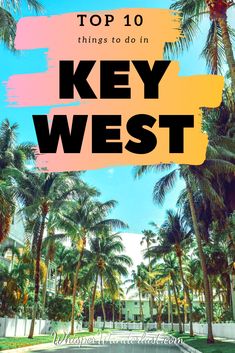 palm trees with the words top 10 things to do in key west