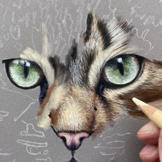 a drawing of a cat's face with green eyes