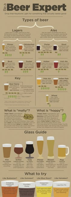 an info sheet with different types of beer in each glass and the text below it