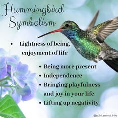 a hummingbird flying next to a purple flower with the words hummingbird symbolism