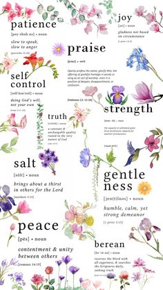 flowers and their meanings are shown in this poster, which includes the names of each flower