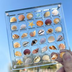 a person holding up a clear box with shells in it's display case on the beach