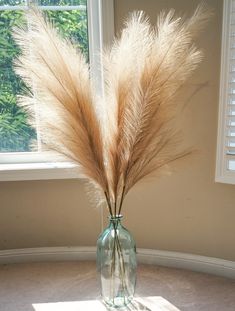 a vase filled with dry grass sitting on top of a floor next to a window