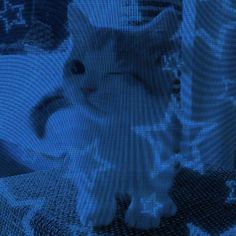 a white cat sitting on top of a bed in front of a tv screen with blue lights