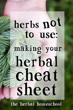 Create a personalized list of your individual contraindications and the herbs you should avoid Herbal Apothecary, Natural Healing Remedies, Herbal Healing, Herbal Magic, Herbs For Health, Healing Herbs