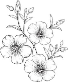 some flowers that are drawn in black and white