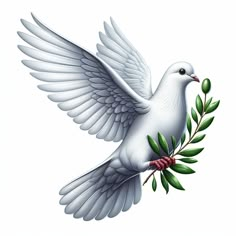 a white dove with an olive branch in its beak and wings spread out to the side