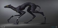 an alien like creature with yellow eyes and black body, standing on one foot in the air