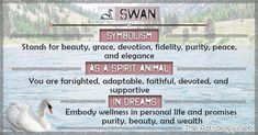 the swan is sitting in front of water with words describing its meaning and description on it