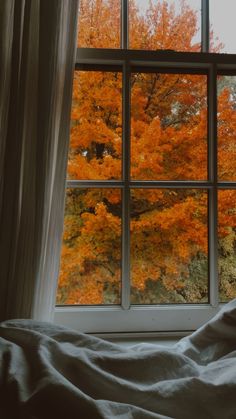 an open window with the view of autumn trees outside and falling leaves on the ground