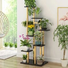 a room filled with lots of plants and potted plants on shelves next to a window