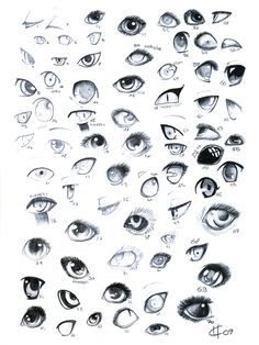 an image of various types of eyes and their features in each eyeball, including the iris