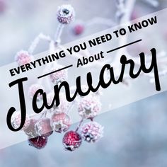 Everything You Need to Know About January January Images Beautiful, January Life List, January Symbols, January Month Milestone, January Celebrations, January Astrology