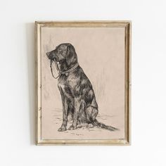 a drawing of a dog sitting in front of a white wall