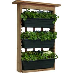 a wooden planter filled with plants on top of a white background and the words wood wall planter above it