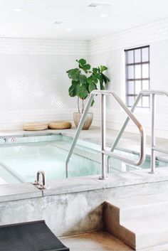 an indoor swimming pool with steps leading up to it and a potted plant in the middle