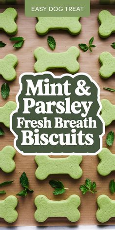 Does your pup need fresher breath? 🐶 These Mint & Parsley Fresh Breath Biscuits are the perfect solution! Packed with natural ingredients like mint and parsley, these treats are great for dog dental health and keeping those kisses sweet. Perfect for pet parents looking for allergy-friendly dog treats, homemade dog food recipes, or a simple way to support fresh breath. Easy to make and packed with flavor, your dog will love these biscuits! 🌱 #FreshBreathDogTreats Diy Mint Dog Treats, Mason Jar Dog Treats, Dog Treats With Mint, Homemade Dog Toothpaste Recipes, Dog Mints Homemade, Diy Fresh Breath Dog Treats, Doggie Breath Mints Diy, Dog Breath Treats Homemade, Breath Mints For Dogs