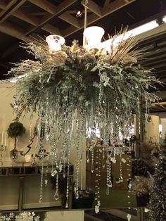 a chandelier hanging from the ceiling in a room filled with plants and other decorations