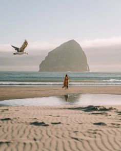 two people walking on the beach with seagulls flying over them and an island in the distance