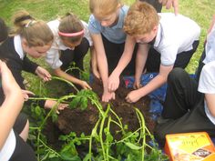 several children are gathered around a pile of dirt and plants in the ground with their hands together