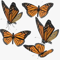 four orange and black butterflies flying in the sky