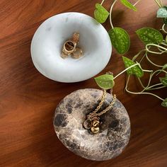 two gold rings sitting on top of a rock next to a potted green plant