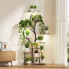 a living room filled with lots of plants on shelves next to a wall mounted planter