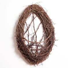 a close up of a bird nest on a white background