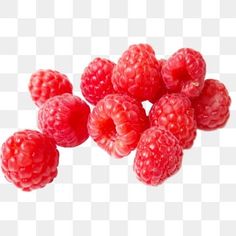 raspberries on a white background with no image