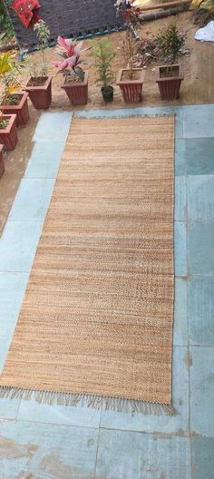 an area rug in the middle of a patio with potted plants on either side